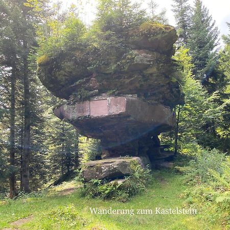 3- 2-1 - Raum - Ferienappartements Dieter Hoffmann Freudenstadt-Kniebis Beim Nationalpark Экстерьер фото